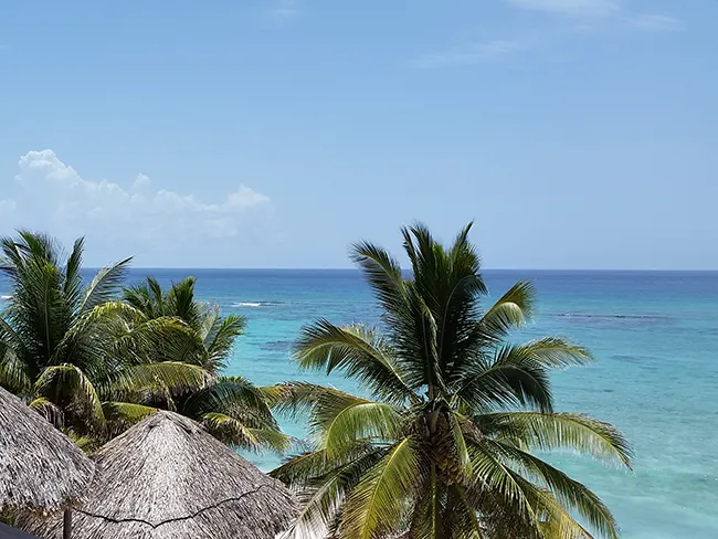 view of the Caribbean